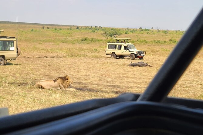 Maasai Mara Day Trip From Nairobi - What you may see on the game drive