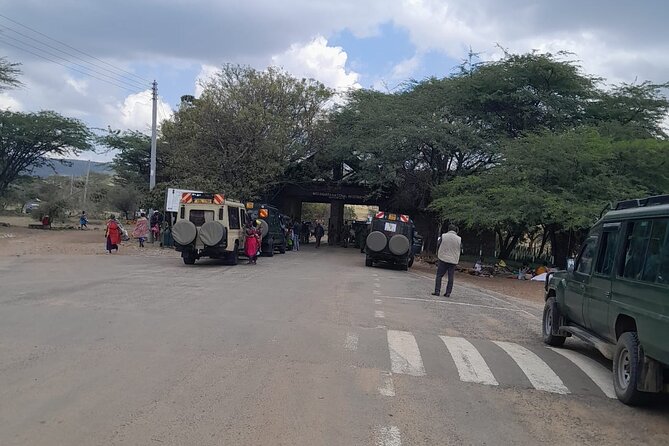 Maasai Mara Day Trip From Nairobi - Who should book this day trip?