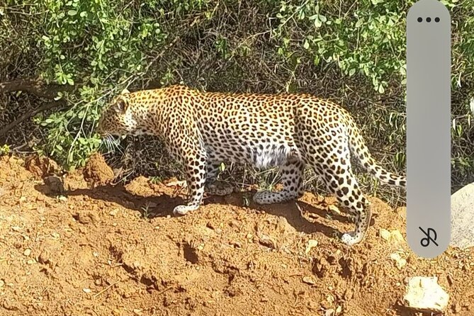 Maasai Mara Day Trip From Nairobi - The 4 a.m. start and the road from Nairobi