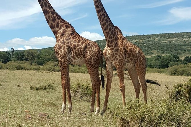 Maasai Mara Game Reserve - Key points to know before booking