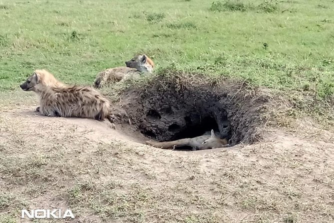Maasai Mara Game Reserve - The optional Maasai boma visit
