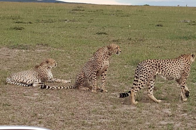 Maasai Mara Game Reserve - What the private format means for you