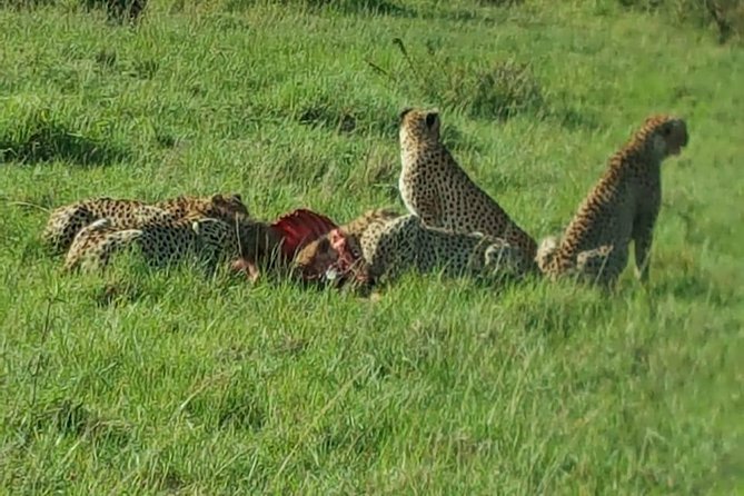 Maasai Mara Game Reserve - What is included, and what is not