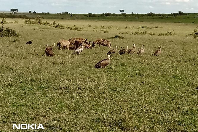 Maasai Mara Game Reserve - Is $2,100 good value?