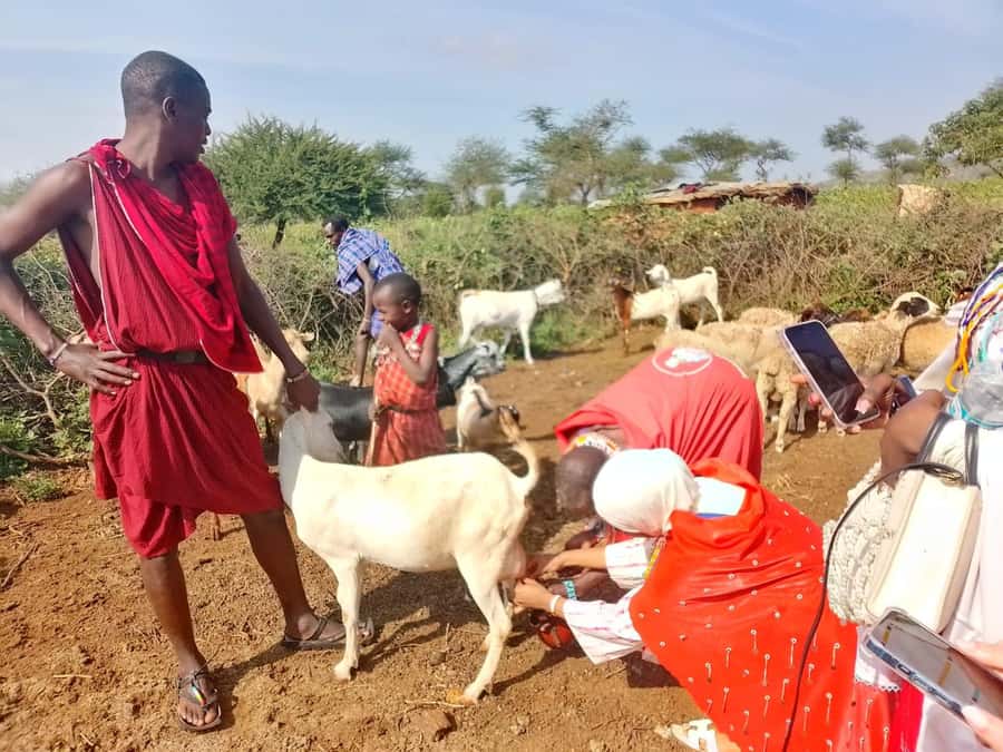 Maasai Village: Cultural Experience of The Maasai Tradition - From Nairobi streets to open Maasai country