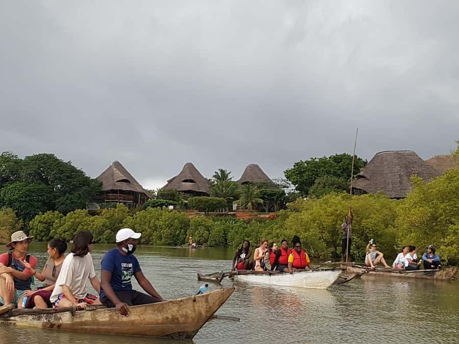 mangrove tour - Key points to know before booking