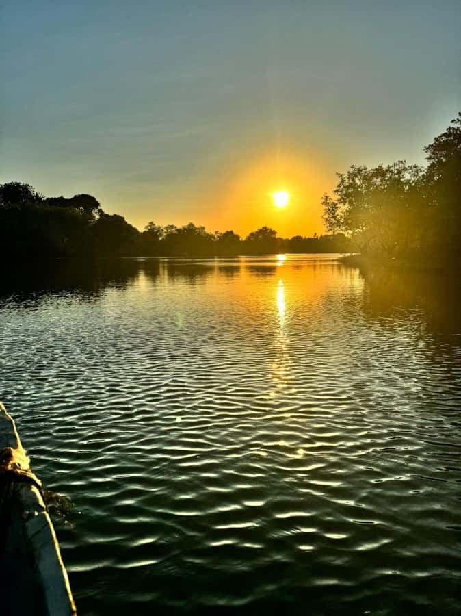 mangrove tour - A quiet evening on Kenya’s Kongo River