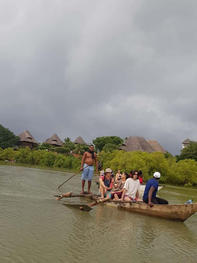 mangrove tour - Guide languages and the value of good commentary