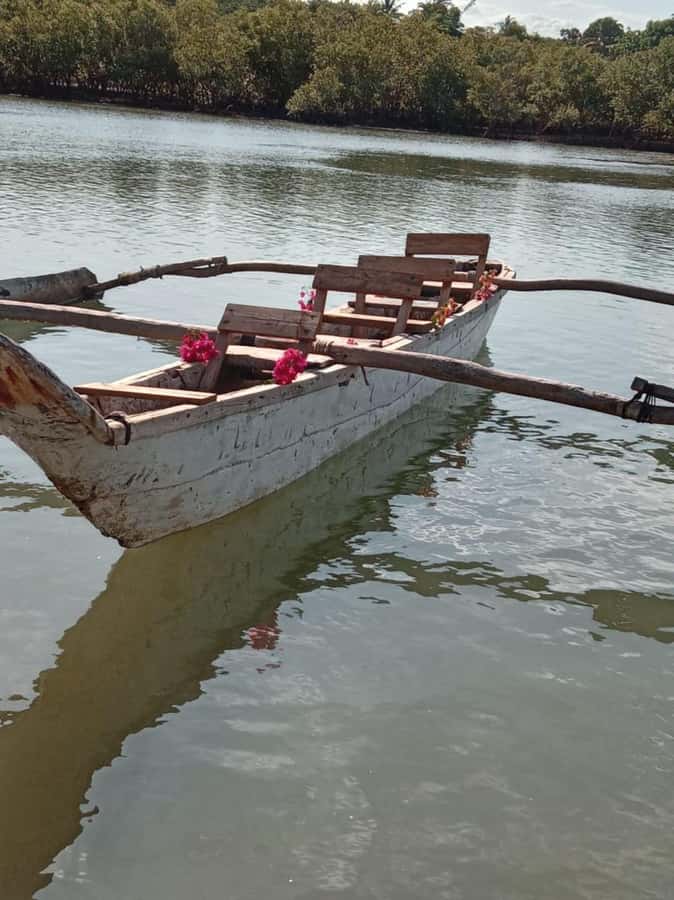 mangrove tour - Who should book this Kongo River outing?