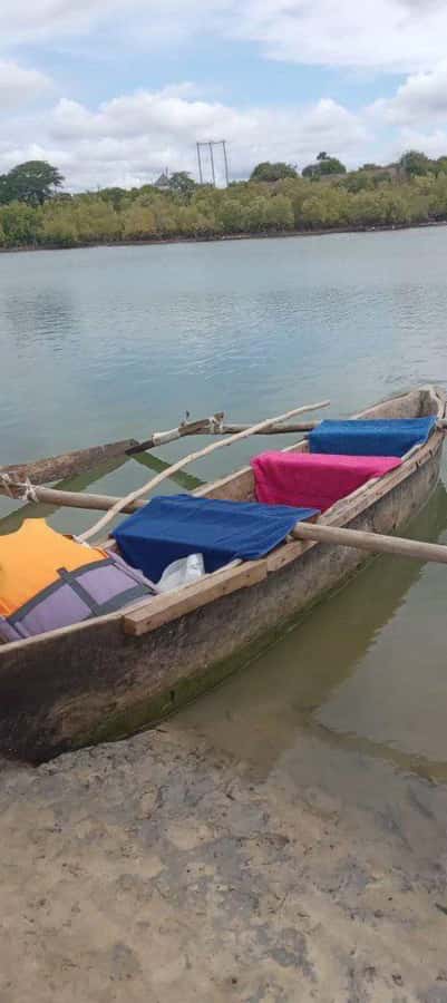 mangrove tour - Booking, cancellation, and simple planning tips