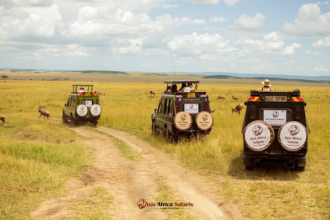 Masai Mara 3 Days Tour Safari Private 4WD Landcruiser - The first game drive begins late in the day