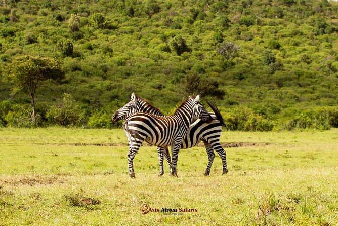 Masai Mara 3 Days Tour Safari Private 4WD Landcruiser - The Maasai village option is a separate extra