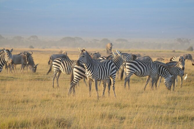 Masai Mara classic safari with optional Masai Village - Is the hot-air balloon worth another $450?