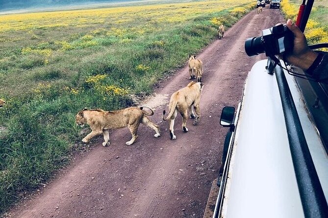 Masai Mara classic safari with optional Masai Village - Who will enjoy this safari most