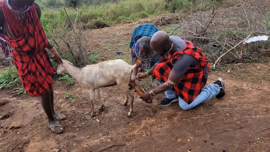 Masai Village Cultural Day Tour from Nairobi - Meeting Maasai culture beyond Kenya’s wildlife