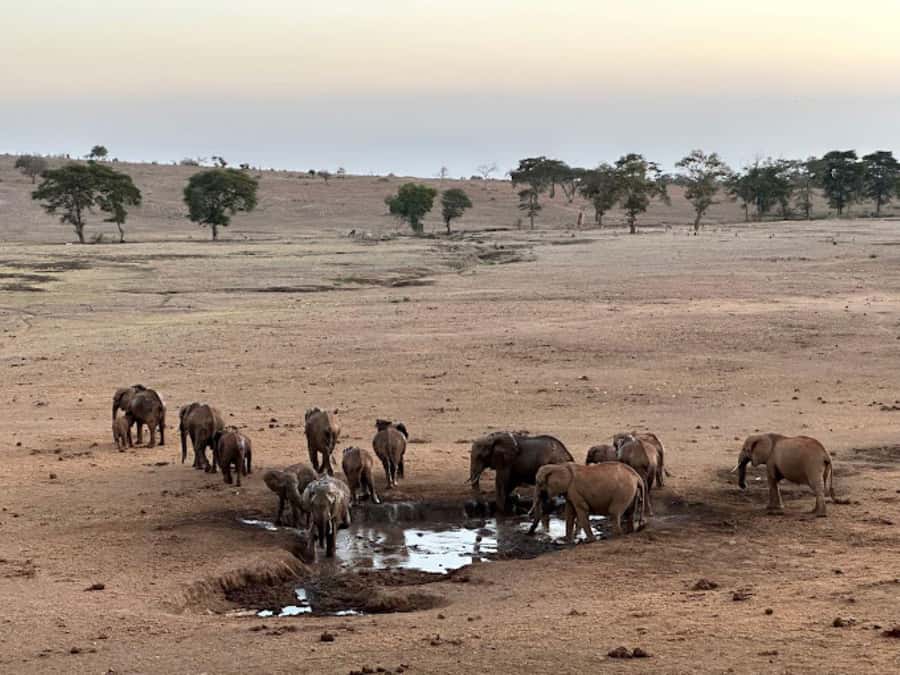 Mombasa: 2-Day Safari to Taita Hills Game Sanctuary - The sunset game drive in Taita Hills