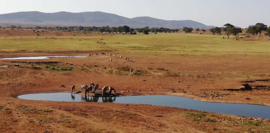 Mombasa: 2-Day Safari to Taita Hills Game Sanctuary - Shared vehicles, private groups, and guide languages