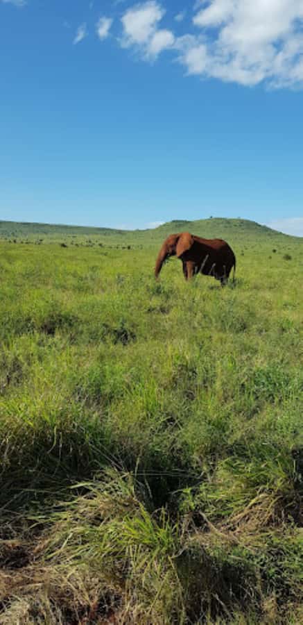 Mombasa: 2-Day Safari to Taita Hills Game Sanctuary - Simple booking rules that protect your plans