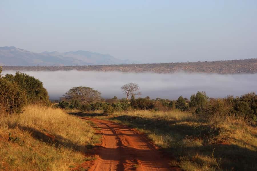 Mombasa: 3-Days 2-Nights Tsavo East and West Private Safari. - Meeting Tsavo East’s Red Elephants
