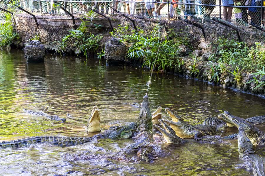 Mombasa City Tour: Fort Jesus Museum, Old Town & Haller Park - Old Town’s narrow lanes and Swahili character