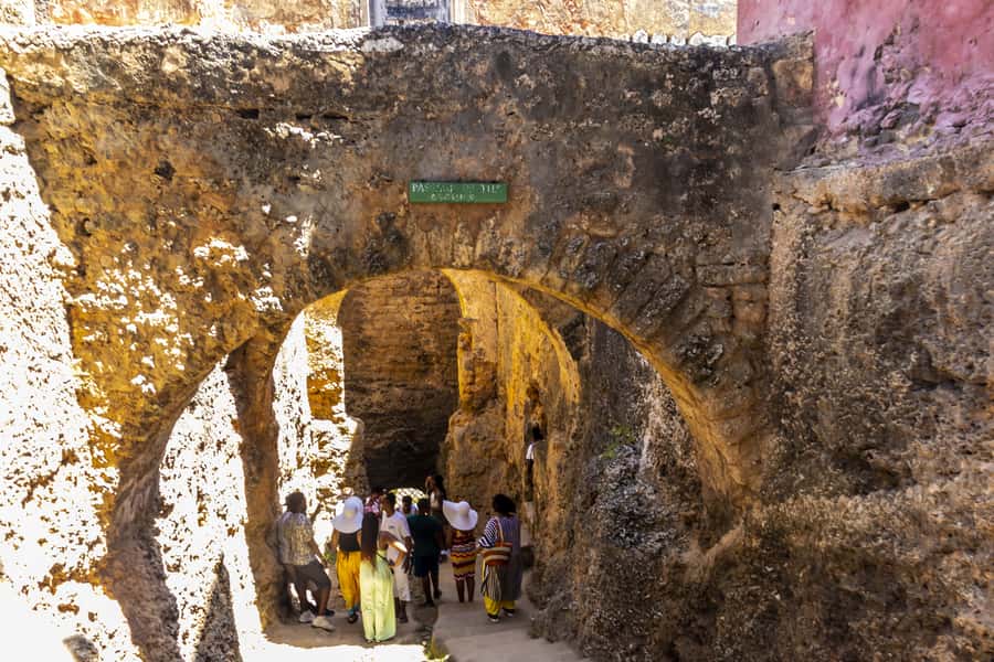 Mombasa City Tour: Fort Jesus Museum, Old Town & Haller Park - A Swahili lunch, paid separately