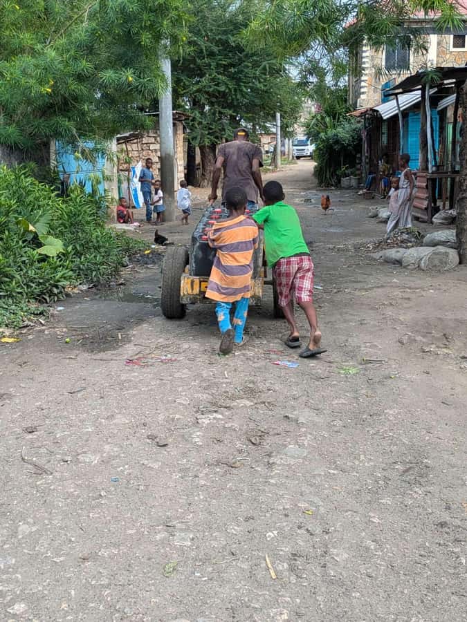 Mombasa Cultural & Wildlife Experience - Is $100 a fair price?