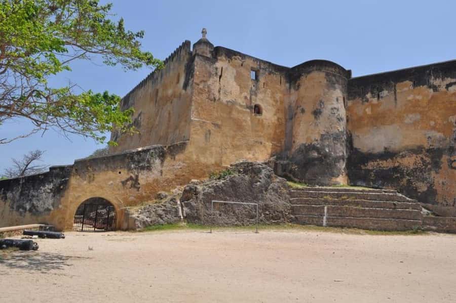 Mombasa: Discovery Day Tour and Haller Park - Guide languages and the importance of communication