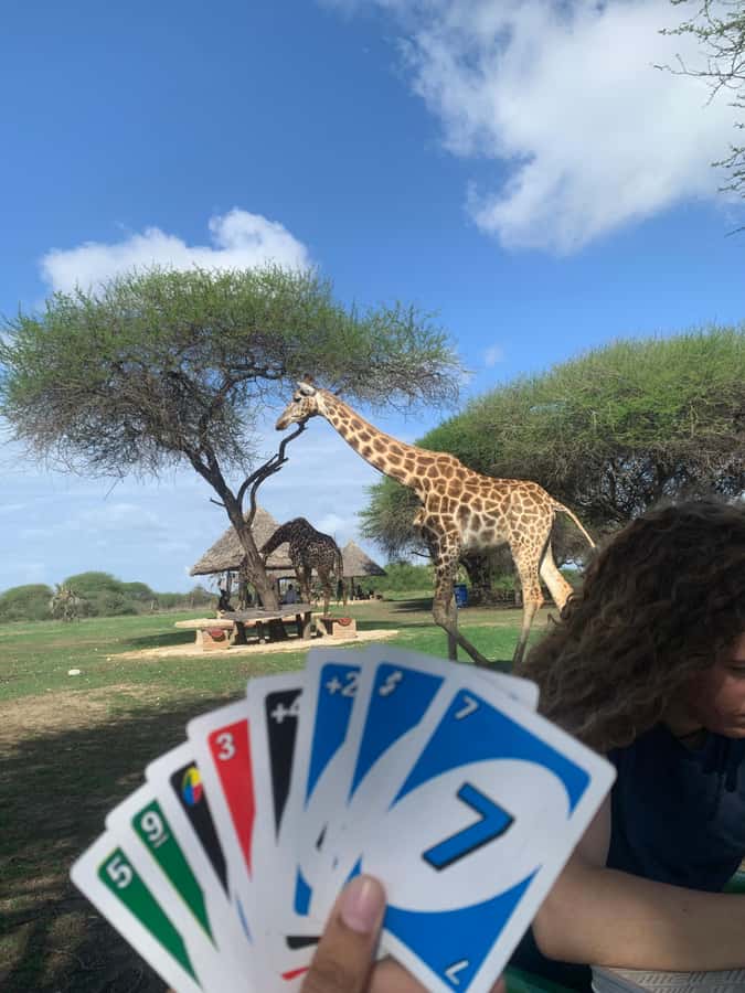 Mombasa: Guided Nature Walk Amongst Giraffes - Time to sit, eat, and take in the views