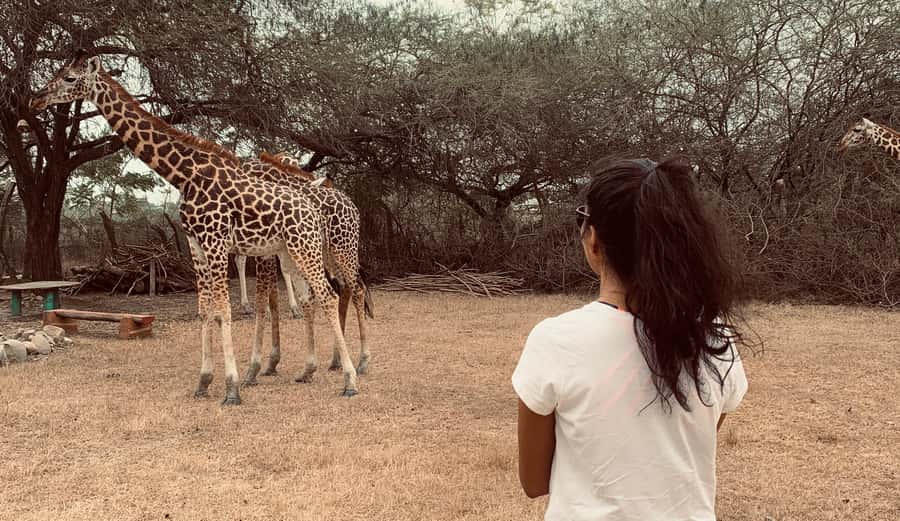 Mombasa: Guided Nature Walk Amongst Giraffes - Who will enjoy this sanctuary visit?