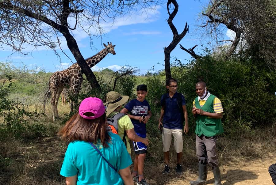 Mombasa: Guided Nature Walk Amongst Giraffes - Practical booking advice