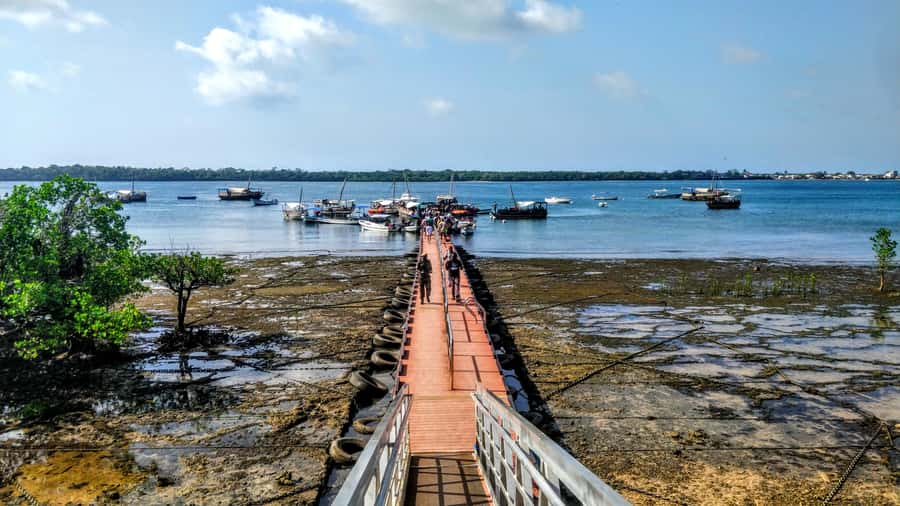 Mombasa: Kisite Park Private Cruise with Breakfast and Lunch - The road from Mombasa or Diani to Shimoni