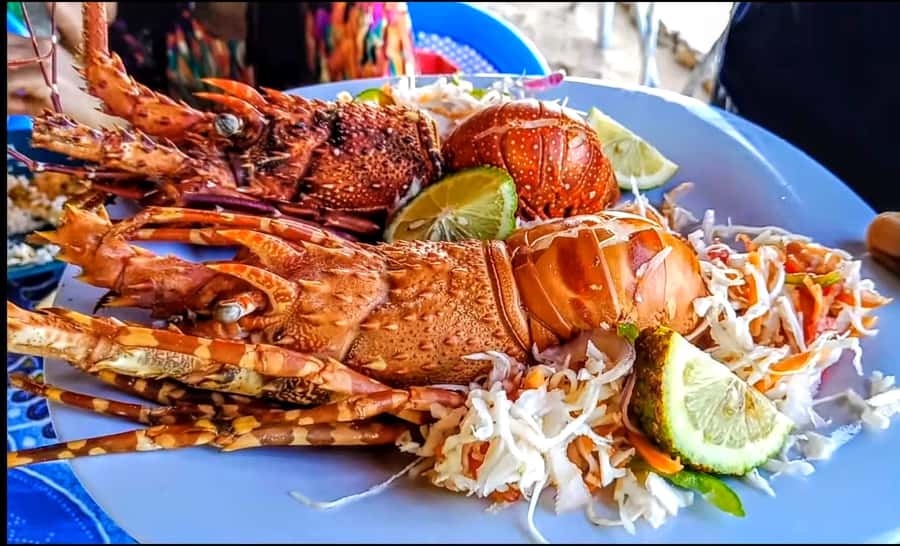 Mombasa: Kisite Park Private Cruise with Breakfast and Lunch - Shimoni Slave Caves and the difficult final stop