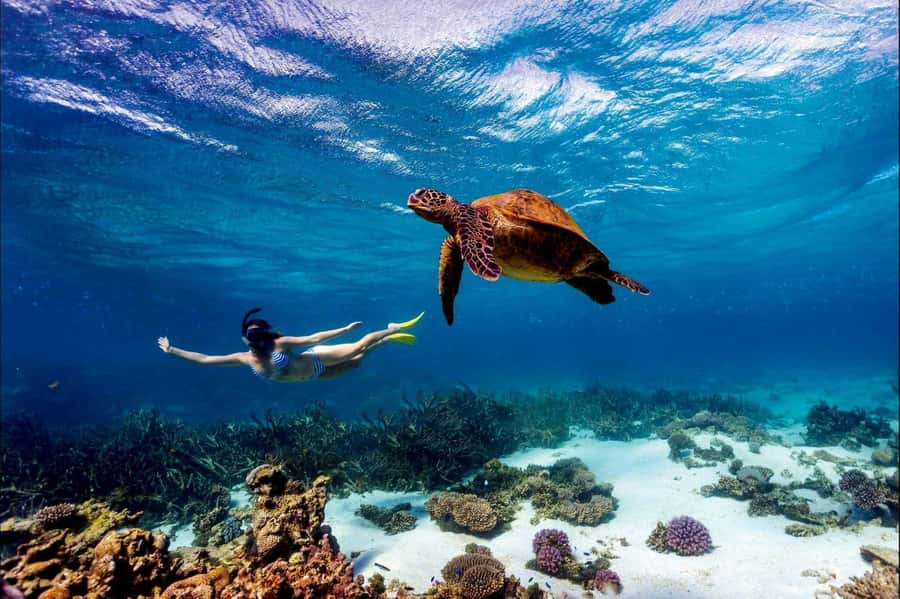 Mombasa: Kisite Park Private Cruise with Breakfast and Lunch - Breakfast on the way to Kisite Marine Park