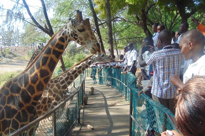 Mombasa Private City Tour & Haller park Sanctuary with sea food luch - Why this private Mombasa day works