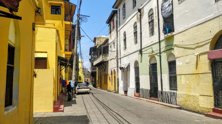 Mombasa: Private City Tour with Fort Jesus & Haller Park - A short look at Mombasa’s Hindu community