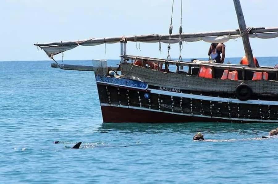 Mombasa: Snorkeling, Dolphin watching, seafood lunch. - From Mombasa or Diani to Shimoni