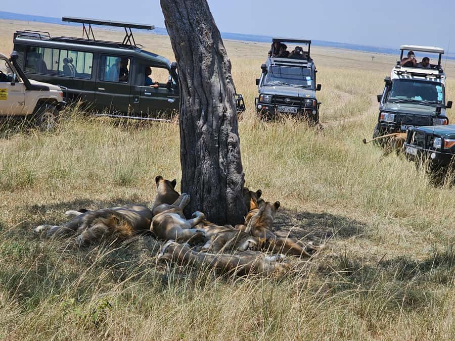 Mombasa: Tsavo East National Park Day Trip with Lunch - The Yatta Plateau and the park’s volcanic past