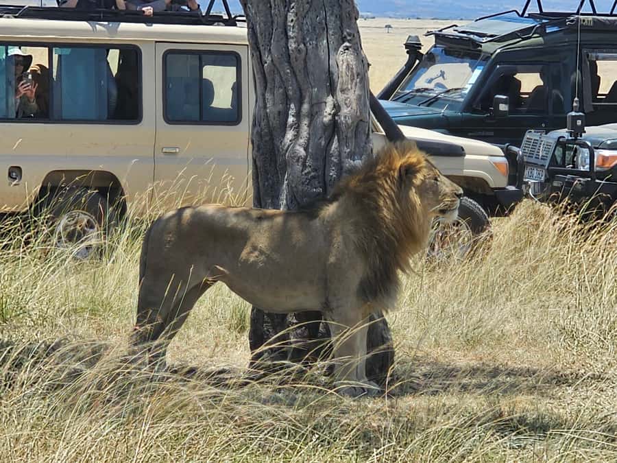 Mombasa: Tsavo East National Park Day Trip with Lunch - Lunch brings a pause, but confirm the location