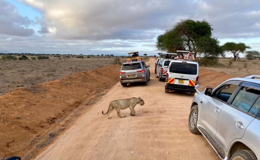 Mombasa: Tsavo East Ngutuni Sanctuary Overnight Safari - Why this two-day safari works from the coast