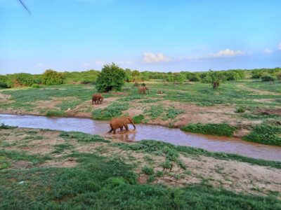 Tsavo East Ngutuni Sanctuary Overnight Safari