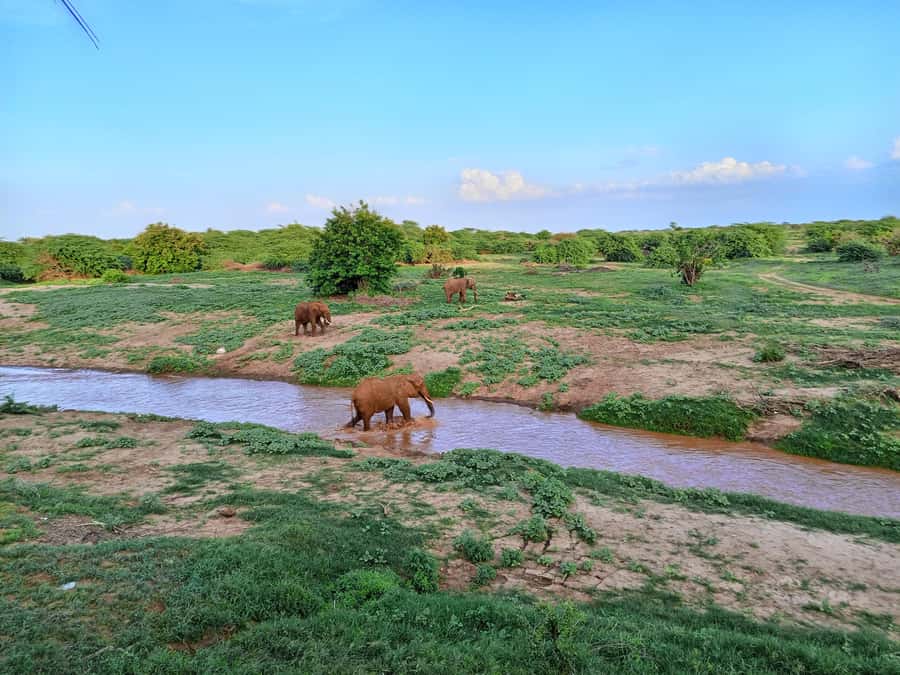 Mombasa: Tsavo East Ngutuni Sanctuary Overnight Safari - The road from Diani, Mombasa, Kilifi, Watamu, or Malindi