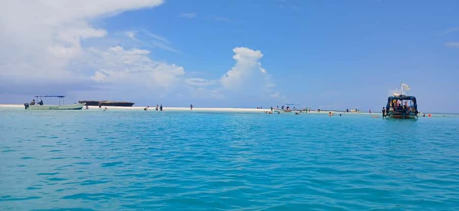 Mombasa: Wasini Dolphin Tour - The dhow ride to Kisite-Mpunguti