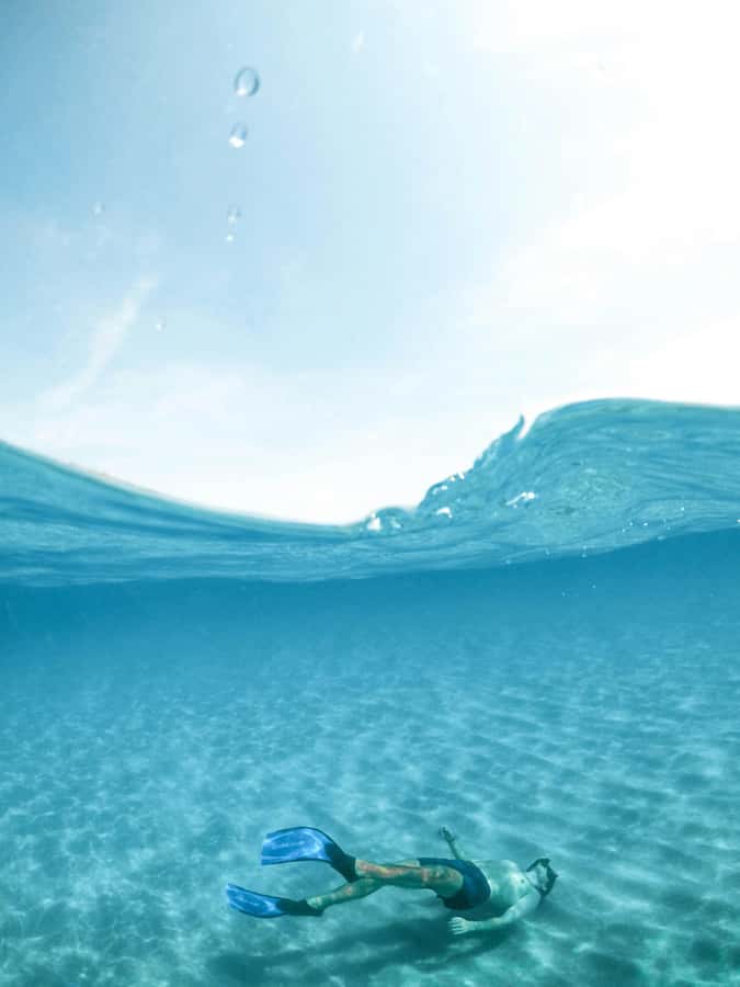 Mombasa: Wasini Dolphin Tour - Lunch and a walk on Wasini Island