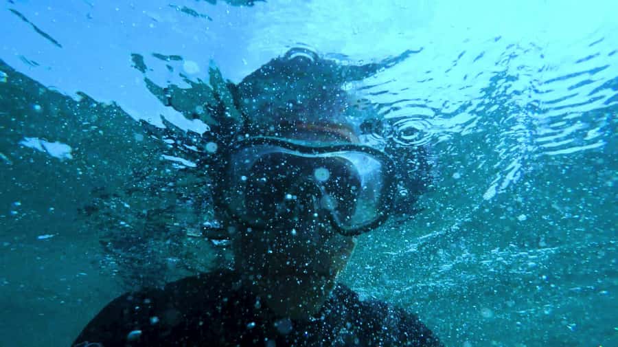 Mombasa: Wasini Dolphin Tour - Who will enjoy this day most?