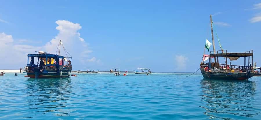 Mombasa: Wasini Dolphin Tour - Looking for dolphins in the open water