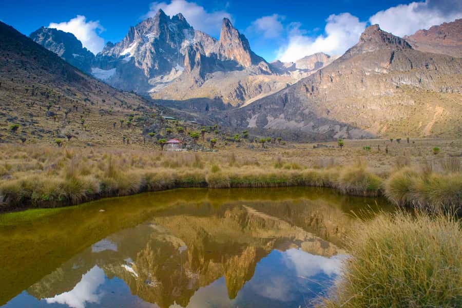 Mt Kenya: Full-day hiking tour from Nairobi - Key points to know before you book