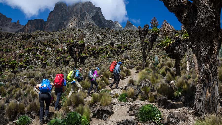 Mt Kenya: Full-day hiking tour from Nairobi - The descent and the long ride back