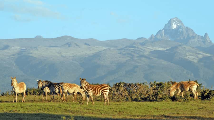 Mt Kenya: Full-day hiking tour from Nairobi - Siri Moni Gate and the first forest miles