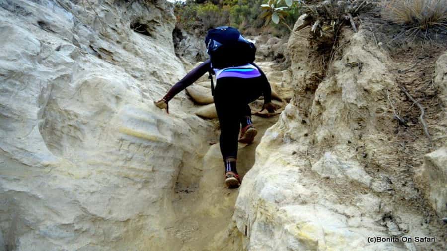 Mt Longonot National park Day Hike - What the $86 price really covers