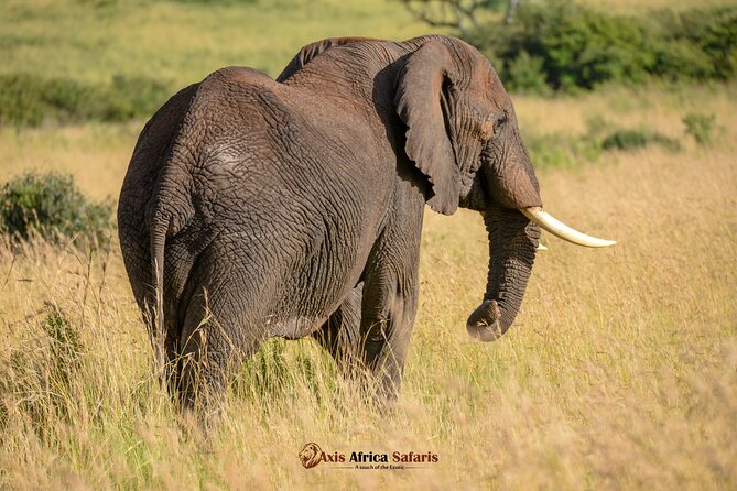 Multi Day Masai Mara Lake Nakuru Park Hellsgate Park Tour - Day 4: Rhinos, birds, and the move to Naivasha